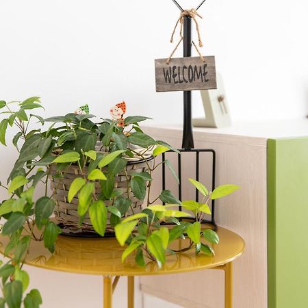 Springhome - Cozy Apartment With Balcony & Parking Brașov Exterior foto