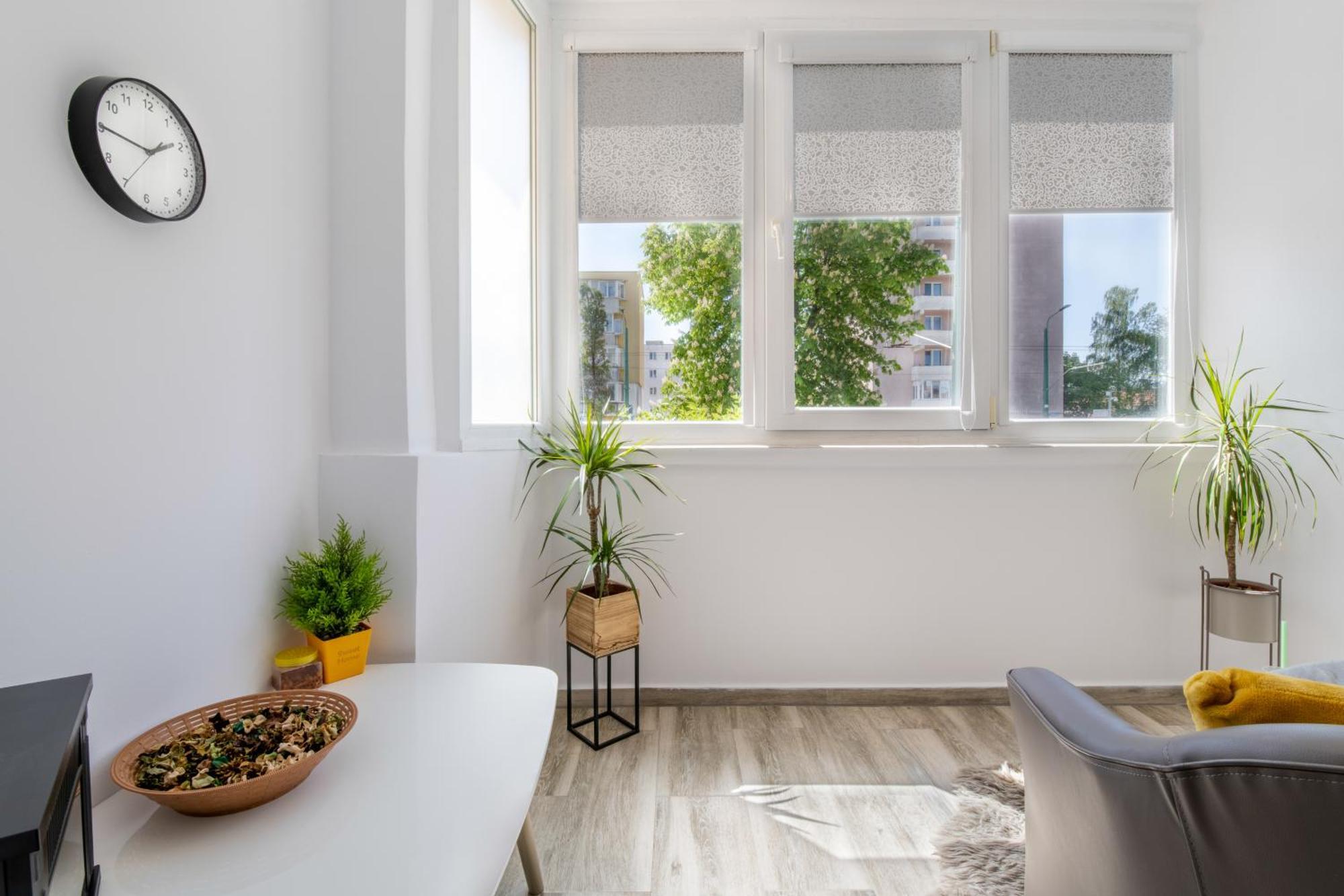 Springhome - Cozy Apartment With Balcony & Parking Brașov Exterior foto